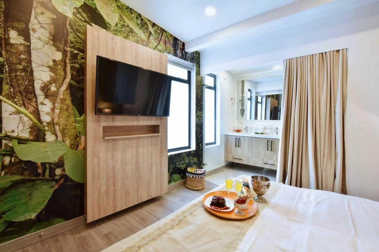 Evergreen Suites By Lifeafar Medellin